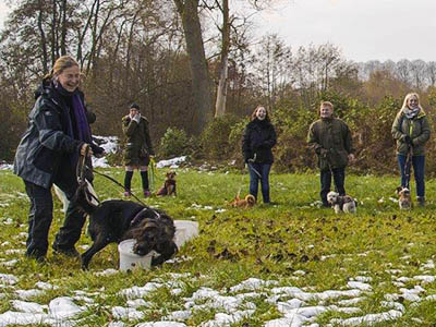 Fit für den Alltag mit der Hundeschule 2-Freunde