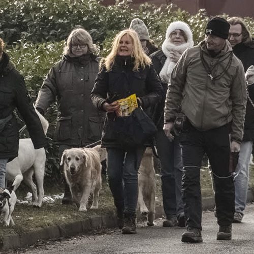 Anna Rosinski - zertifizierte Hundetrainerin